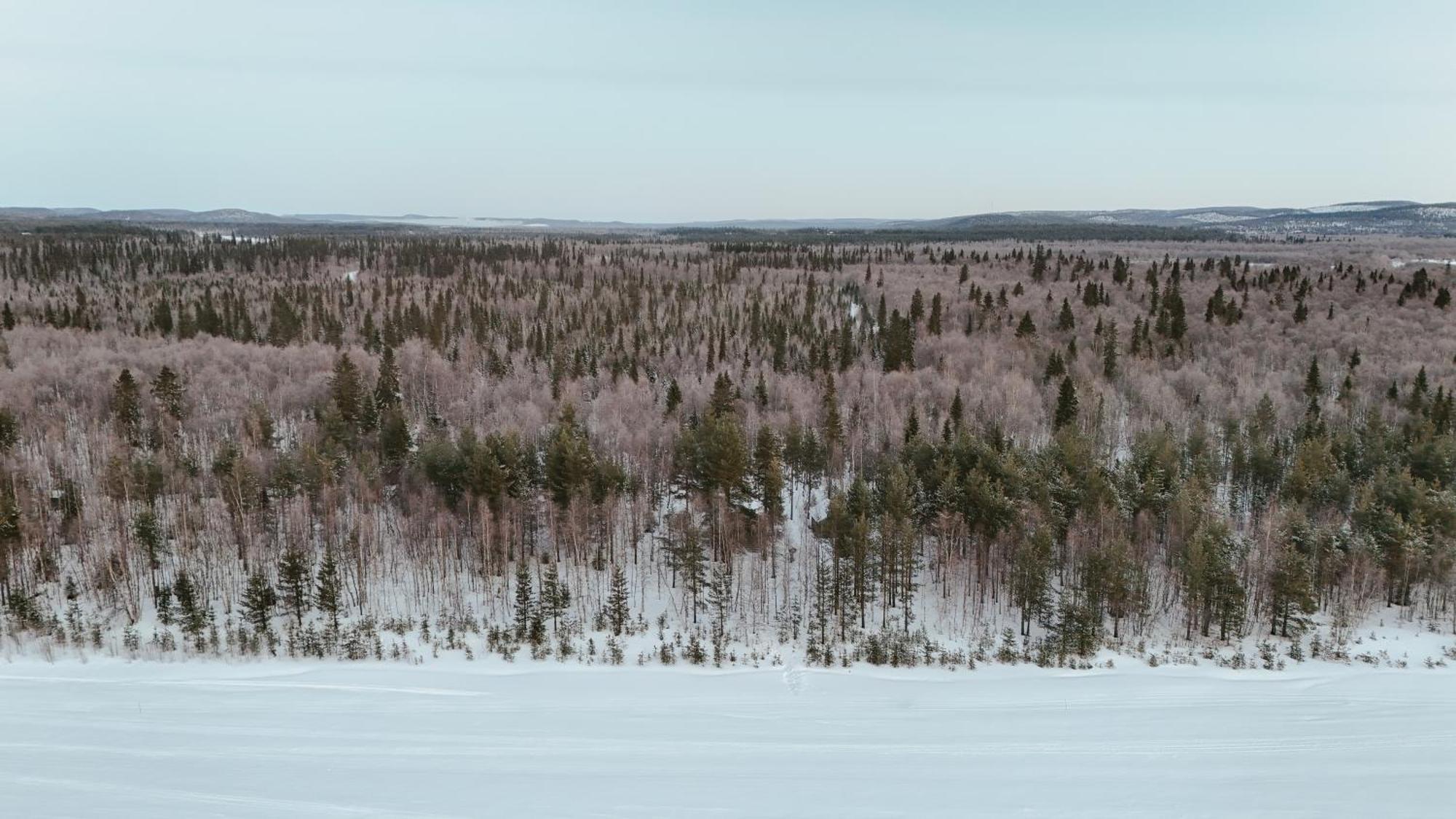 Rivergold Ivalo